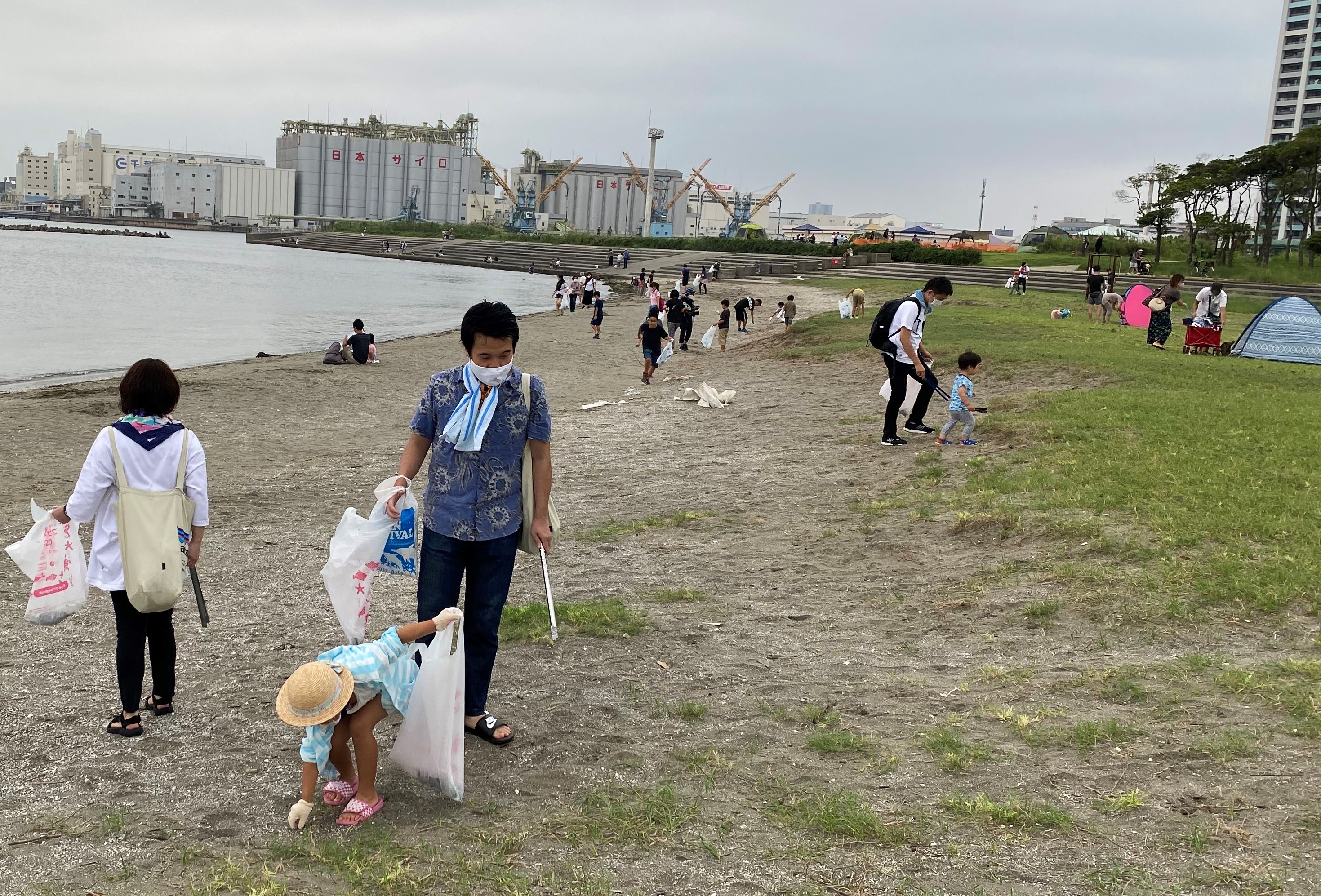 海岸清掃の様子