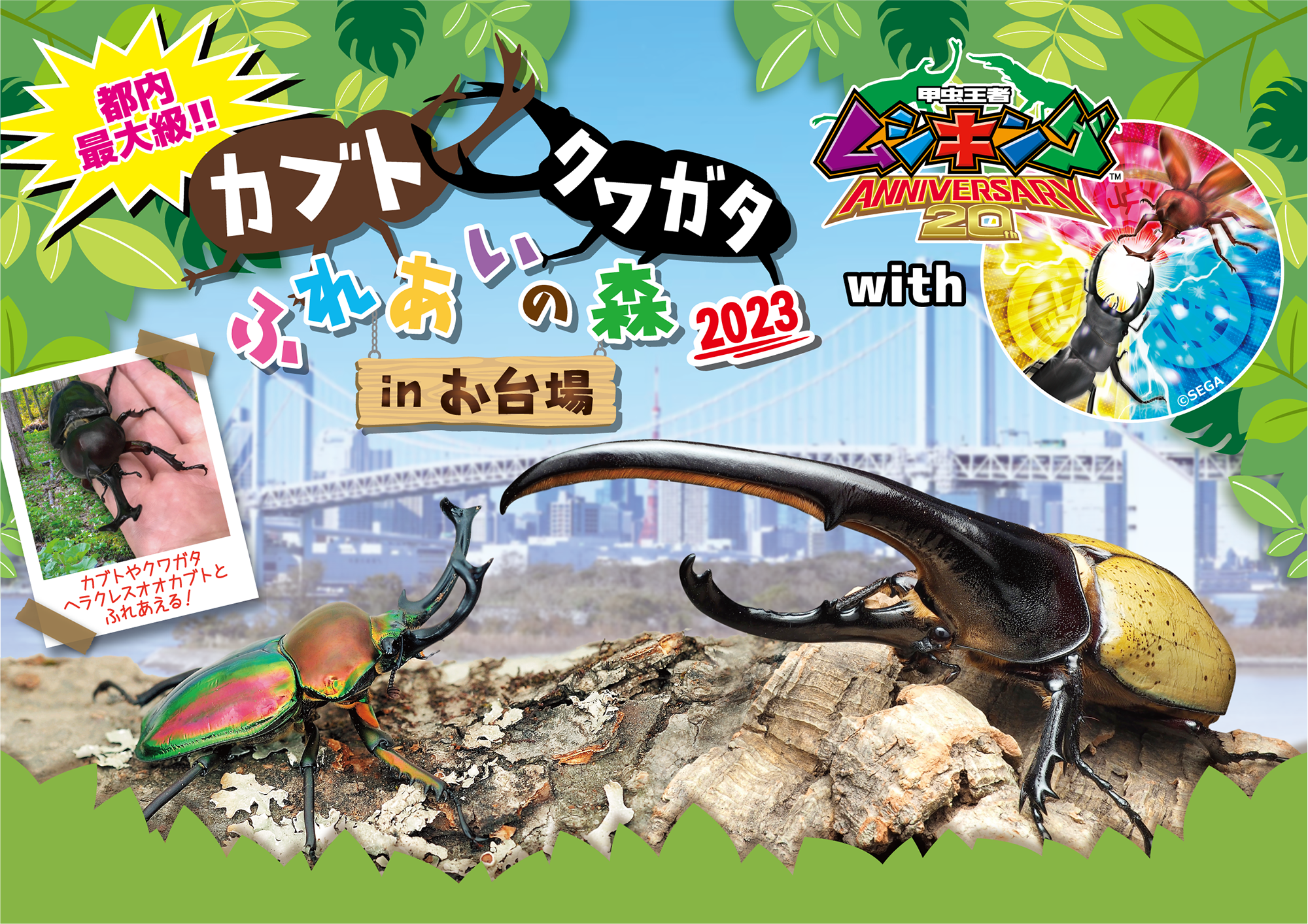 ヘラクレスオオカブトとのふれあいコーナーが新登場！「カブト 