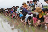 2019年に開催した「田んぼのがっこう・田植え」の様子